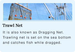 Trawling Net